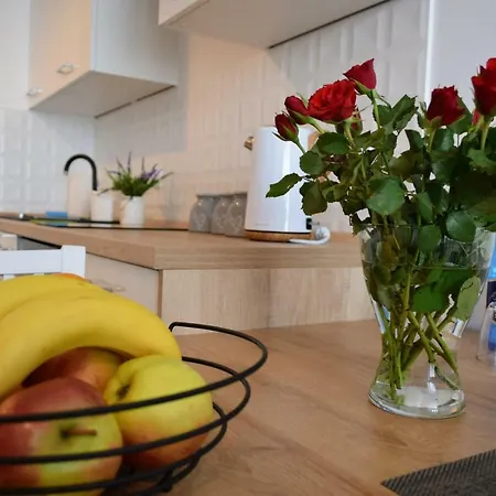 Apartment Anders Z Miejscem W Garazu I Rowerami Kolberg